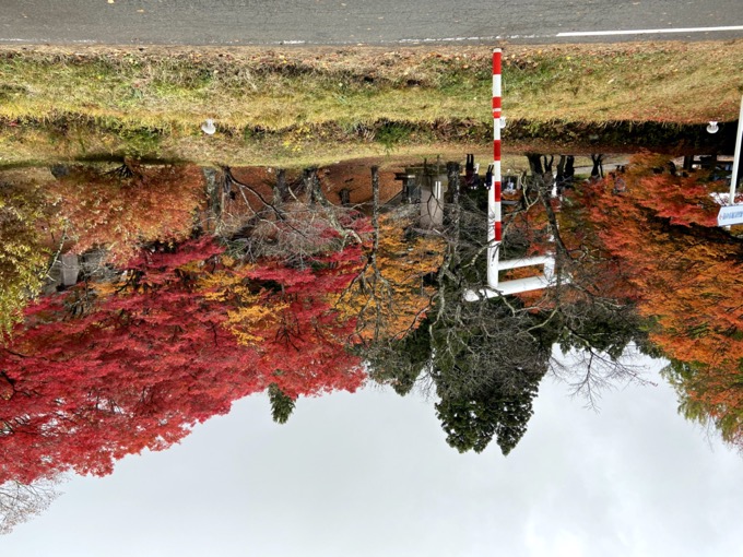 宿からの景色